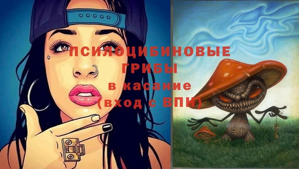 гидропоника Надым
