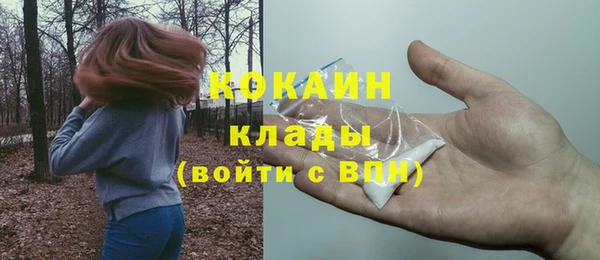 гашик Алагир