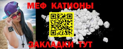 стаф Гай