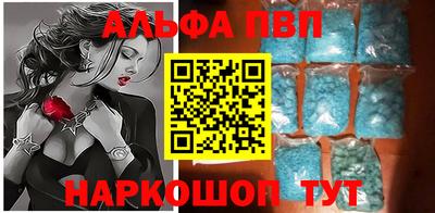 стаф Гай