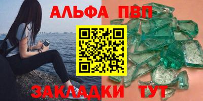 стаф Гай