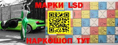 стаф Гай