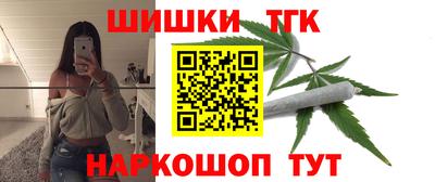 стаф Гай