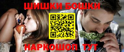 стаф Гай