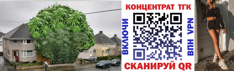 ТГК гашишное масло  цена наркотик  Йошкар-Ола 