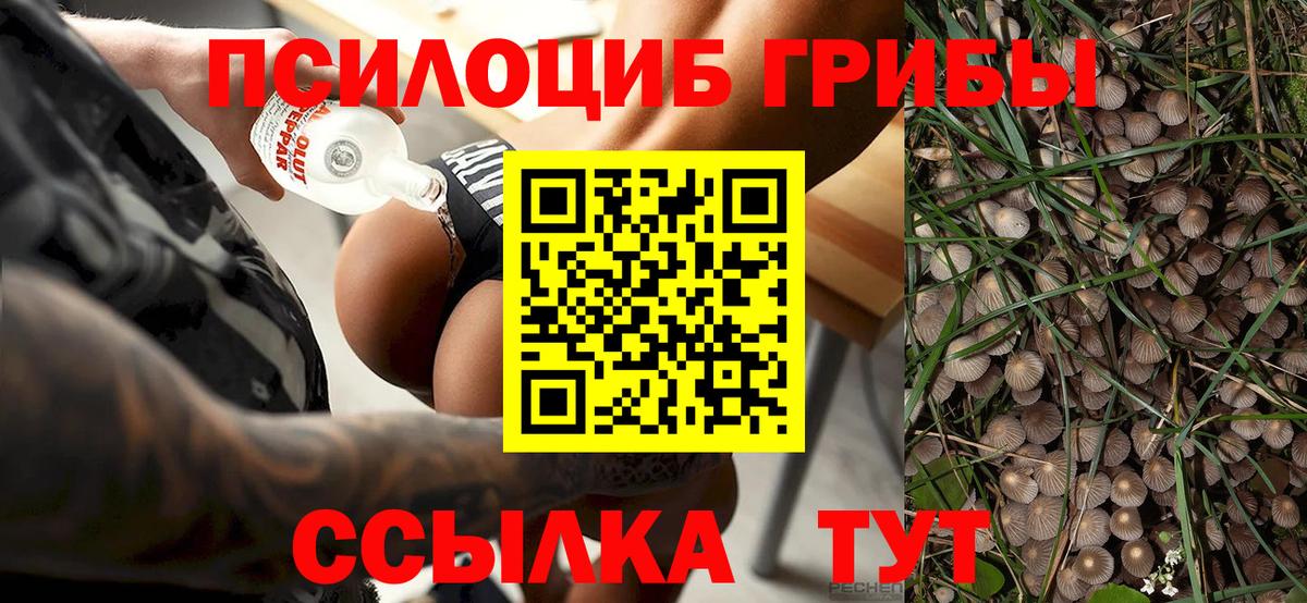 Галлюциногенные грибы GOLDEN TEACHER  Галлюциногенные грибы ЛСД  Йошкар-Ола  Вход с VPN 